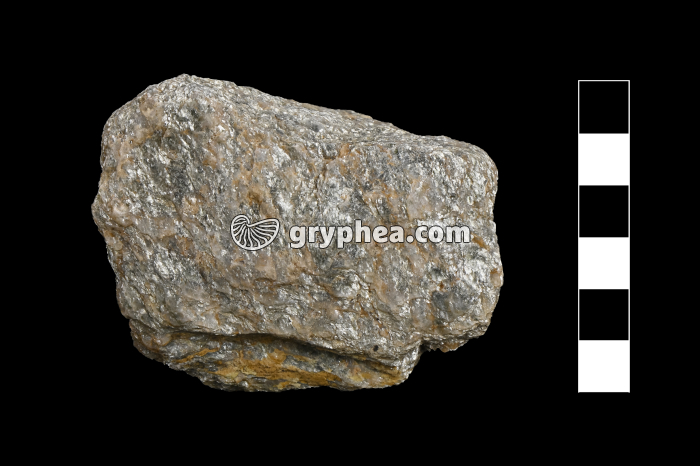 Micaschiste - échantillon - gryphea.com